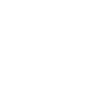 Spie